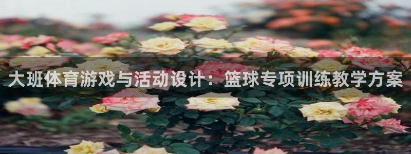 双赢平台体育合法嘛：大班体育游戏与活动设计：篮球专项训练教学方案