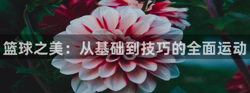 意昂体育官网登录：篮球之美：从基础到技巧的全面运动