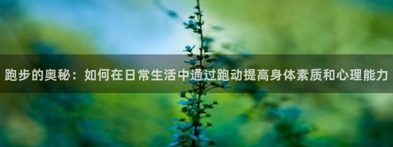 意昂平台招商：跑步的奥秘：如何在日常生活中通过跑动提高身体素质和心理能力