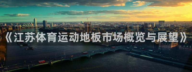 双赢平台3官网：《江苏体育运动地板市场概览与展望》