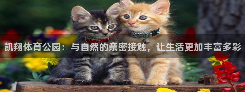 双赢平台体育注册：凯翔体育公园：与自然的亲密接触，让生活更加丰富多彩