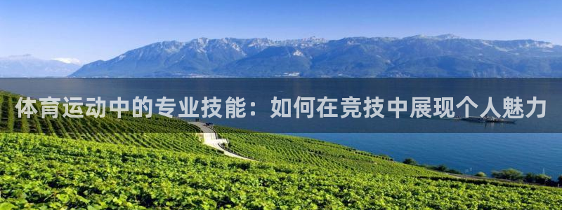 双赢平台体育在线注册：体育运动中的专业技能：如何在竞技中展现个人魅力