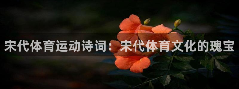 意昂3登录：宋代体育运动诗词：宋代体育文化的瑰宝
