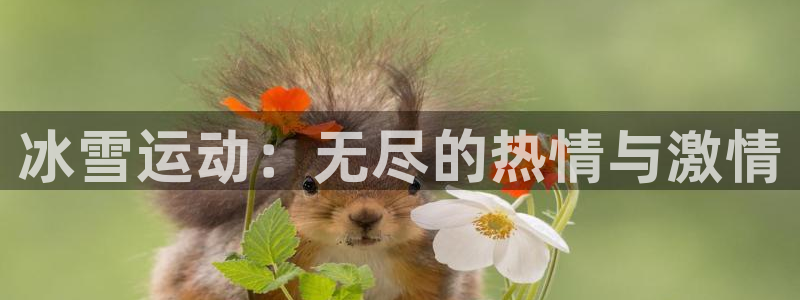 双赢平台4登录：冰雪运动：无尽的热情与激情