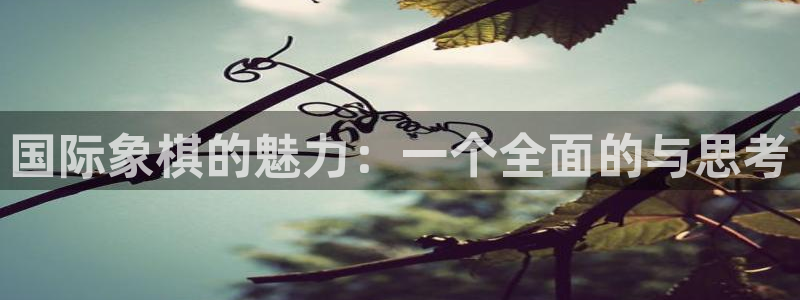 双赢平台体育eon：国际象棋的魅力：一个全面的与思考