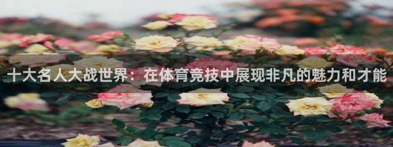 意昂3平台：十大名人大战世界：在体育竞技中展现非凡的魅力和才能