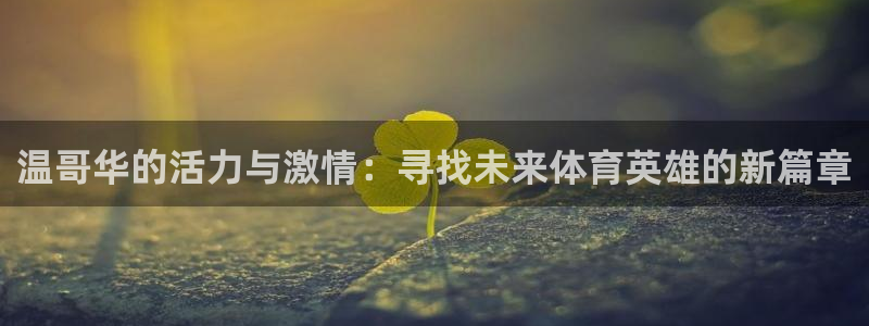 意昂5平台：温哥华的活力与激情：寻找未来体育英雄的新篇章