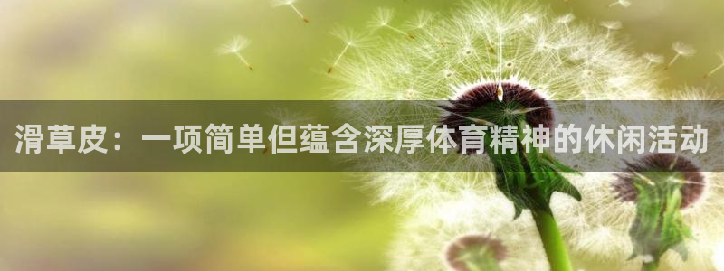 双赢平台体育热门赛事有哪些：滑草皮：一项简单但蕴含深厚体育精神的休闲活动