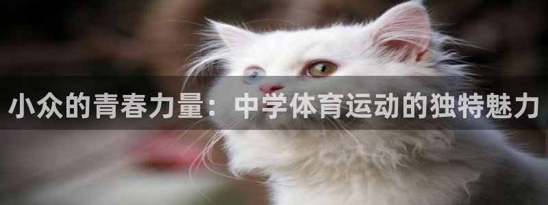 意昂集团股票：小众的青春力量：中学体育运动的独特魅力