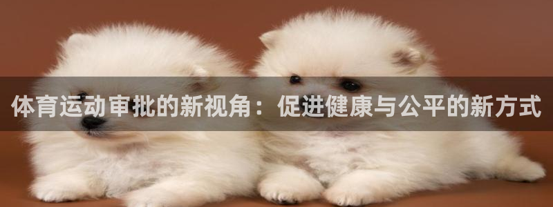 双赢平台2登录入口：体育运动审批的新视角：促进健康与公平的新方式
